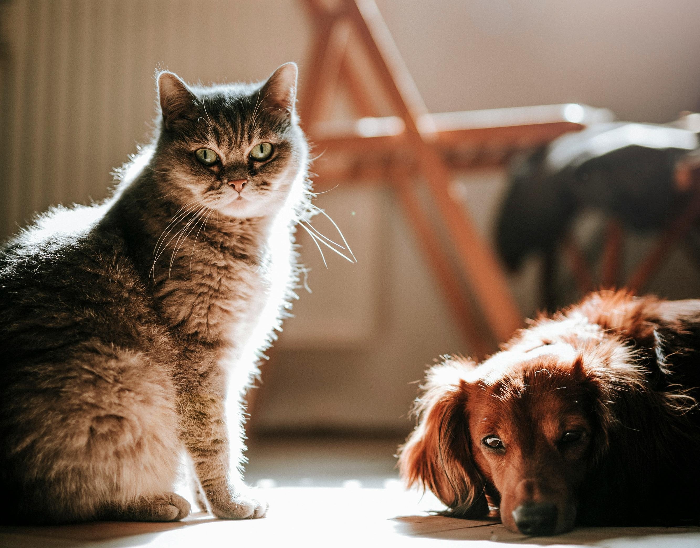 slider image 1621243260e1af0c20-0